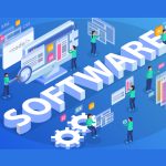 The Software Landscape in the USA: Innovation, Influence, and the Future